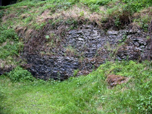 Stop 2: Uppermost Much Wenlock Limestone Formation - hard nodular limestone